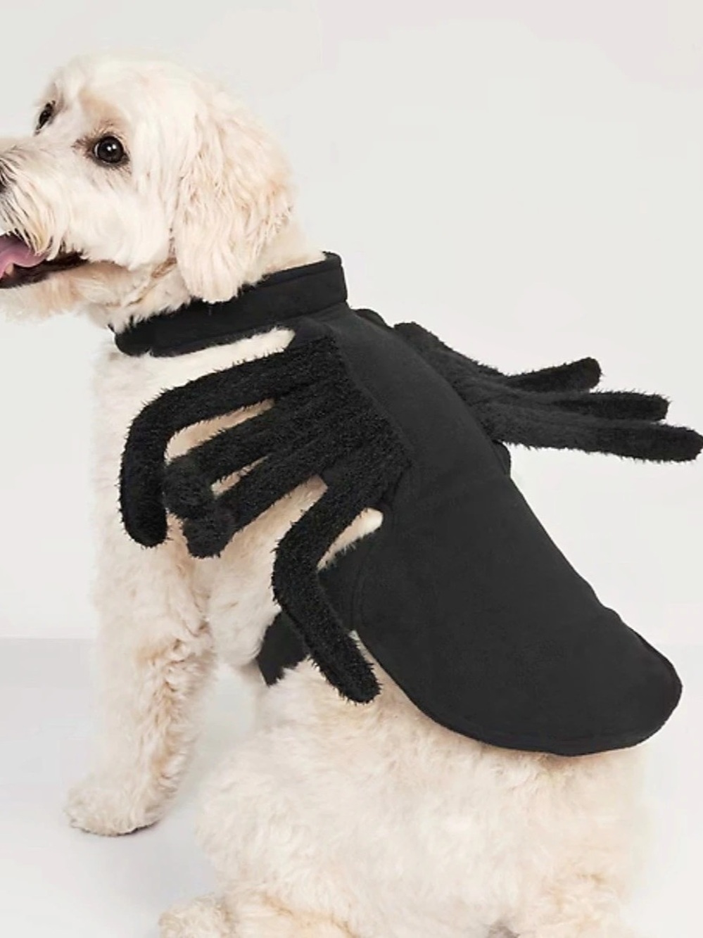 Old Navy Spider Halloween Dog Costume Black - Size L-XL